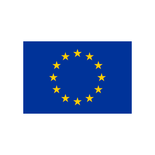 Logo VIES (TVA intra-UE)